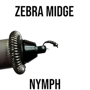 Zebra Midge 16-24