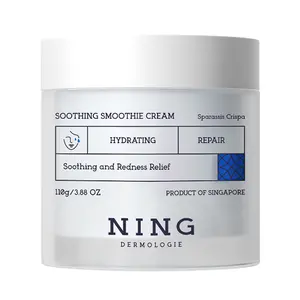 NING 15-Minute Rapid Repair Cream for Sensitive & Redness-Prone Skin, After-Sun Recovery, Oil-Control & Long-Lasting Hydration, 110g, Alcohol-Free, Hormone-Free, Fragrance-Free, 6 Key Free-from Ingredients, Suitable for Sensitive Skin