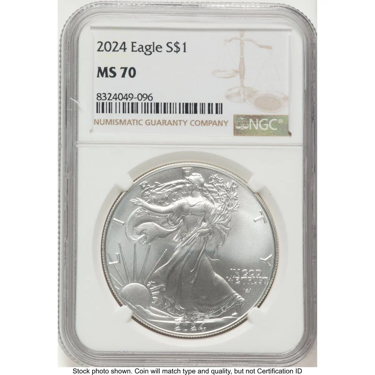Modern Bullion Coins (2024 Silver Eagle Brown Label)
