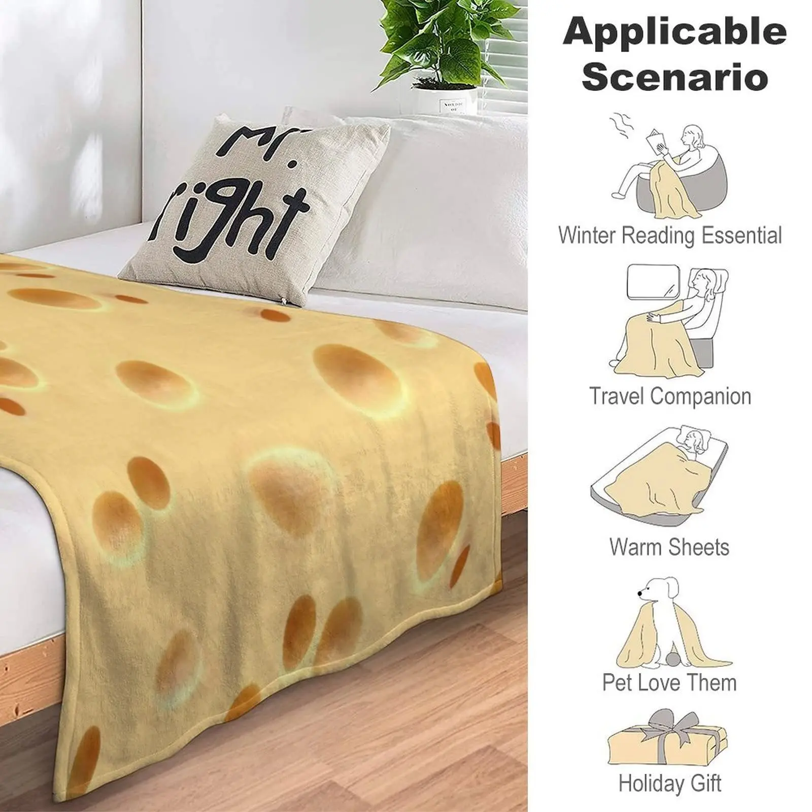 Fun and Realistic Food Cheese Blanket Soft and Comfortable Flannel Warm Home Essentials Printed Blanket Gift