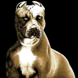 Super Soft Luxury Blanket Queen Size 1ply Pitbull Design for Cozy Nights