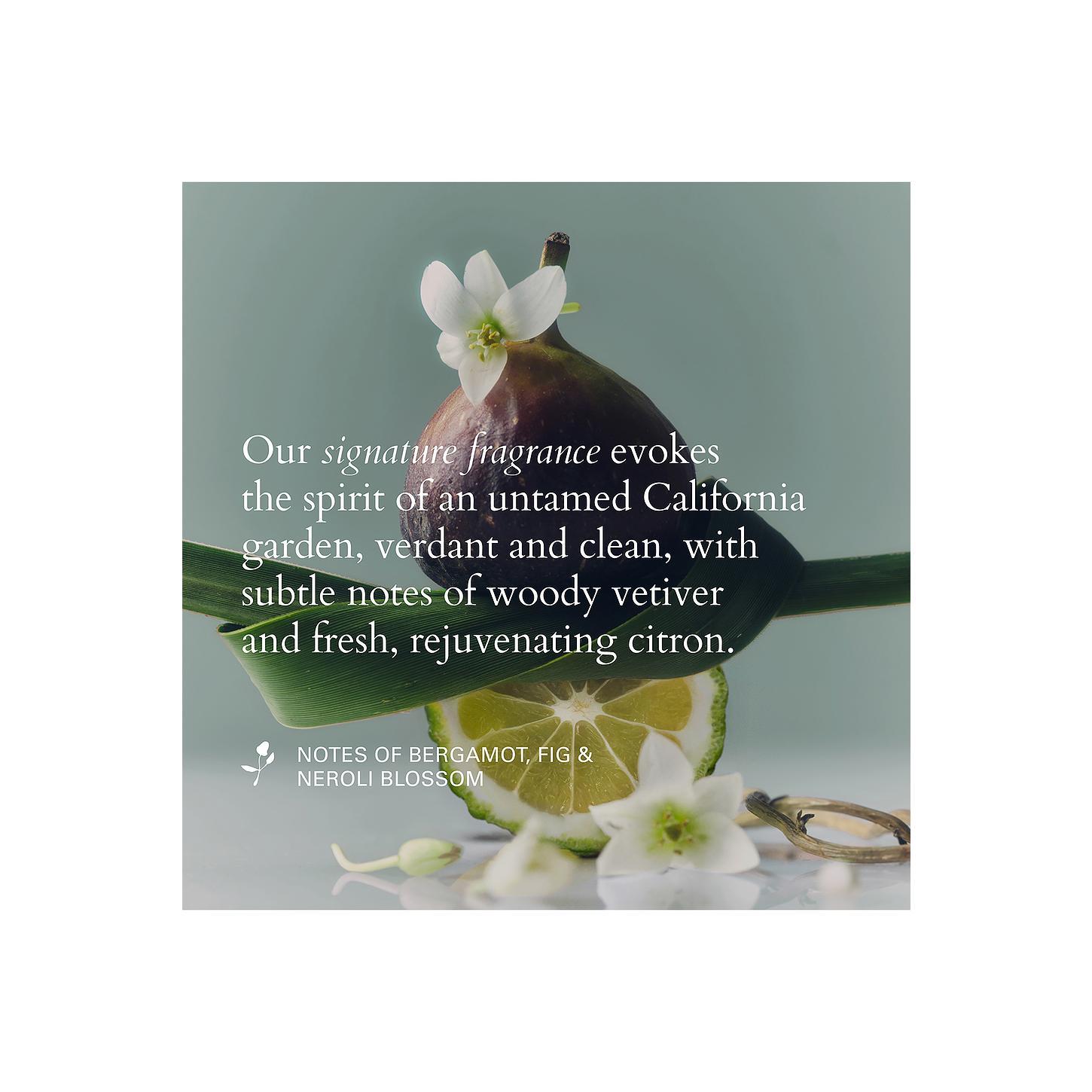 ROZ Hair Travel Santa Lucia Styling Oil