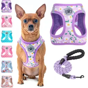 BEAUTYZOO Step in Dog Harness and Leash Set, Floral Pattern Reflective Dog Harness No Pull No Choke Puppy Harness for XXS XS S Dogs Cats, Soft Padded Mesh Vest Harnesses for Girl and Boy Pets