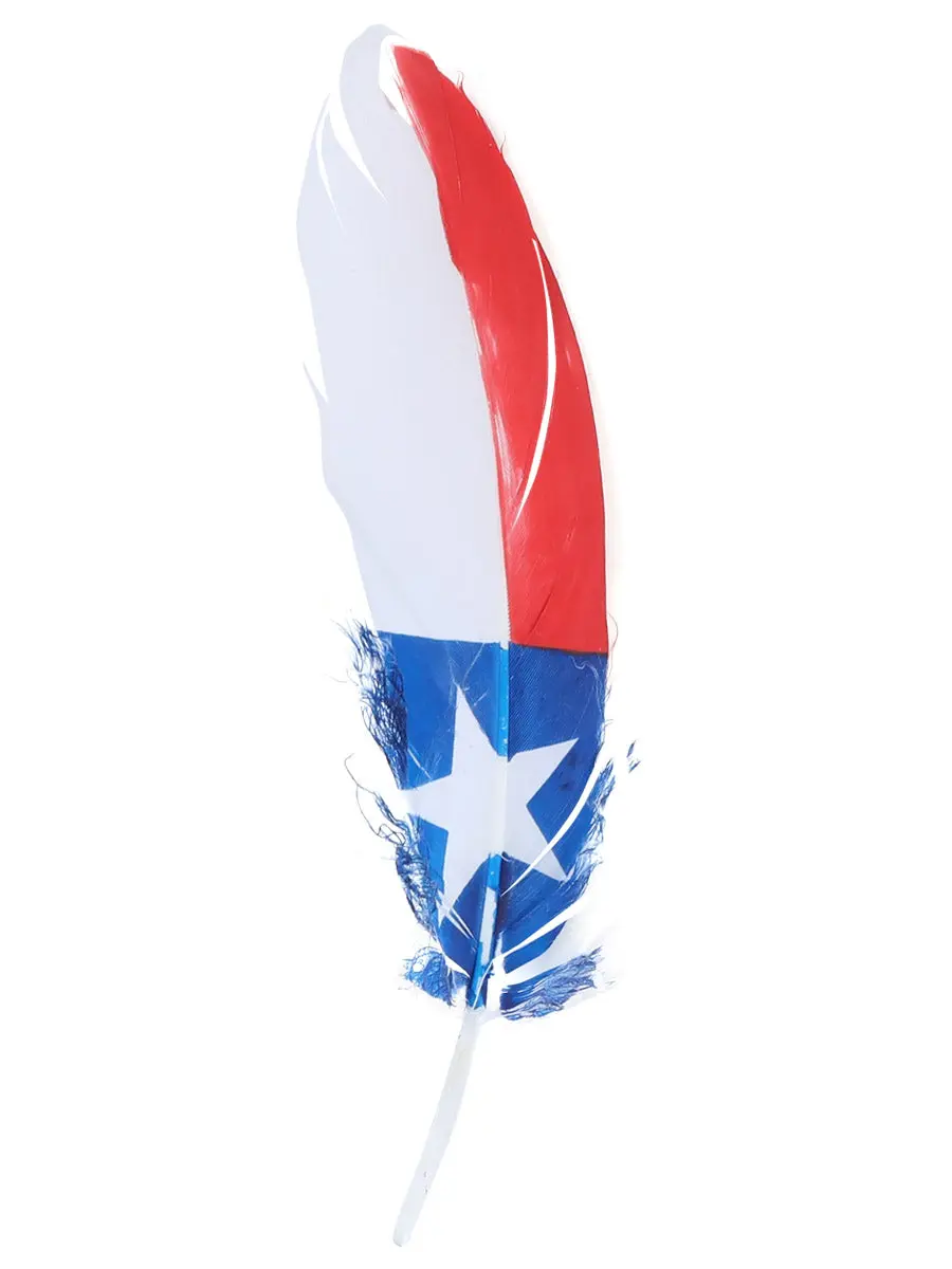 Hand Painted Texas Hat Feather Accessory - 42039 Hand Painted Texas Hat Feather Accessory - 42039