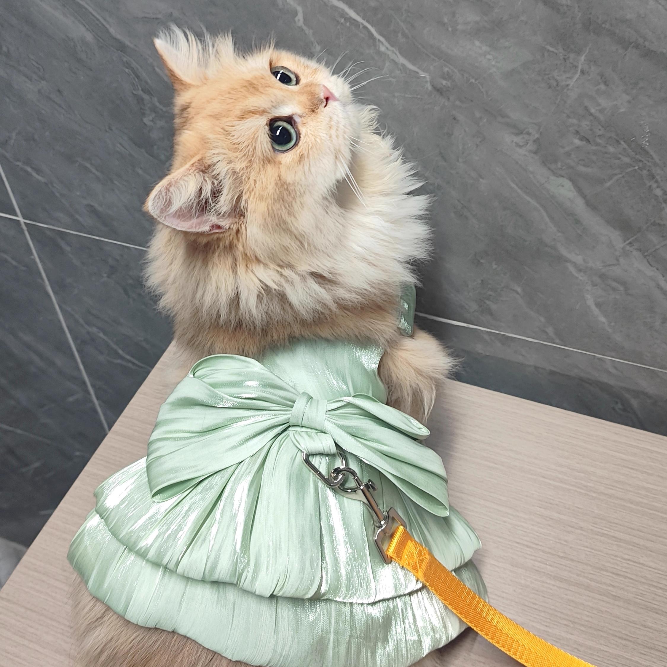 Pet Clothes Dog Cat Princess Dress Sleeveless Cute Pretty Costume AL786853060033