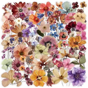 50Pcs Vintage Floral Graffiti Stickers, Transparent Waterproof Plant Decals