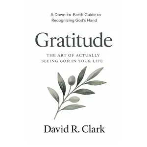 Gratitude: The Art of Actually Seeing God in Your Life (Connecting With Christ)