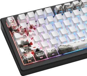 Womier Shine Through Keycaps, PBT Keycap Cherry Profile Custom Keys Set for Cherry Gateron MX Switches Mechanical Keyboard