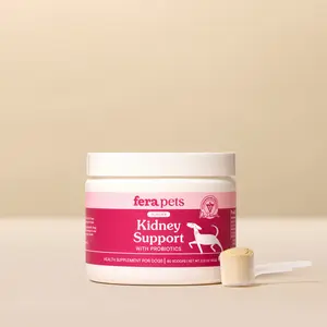 Kidney Support for Dogs