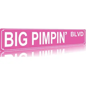 "Big Pimpin' Blvd" Funny Metal Tin Sign |   16x4 Inch Slim Pink Street Sign Wall Art |   Iron Poster for Home, Farmhouse & Garage Decor |   TikTok Trending Room Decoration, Pre-Drilled Holes for Easy Hanging