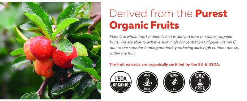 Organic Vitamin C | Whole Food Vitamin C with Natural Cofactors – Vegan, Enhanced Absorption, Supports Immune Health and Antioxidants – 90 Servings