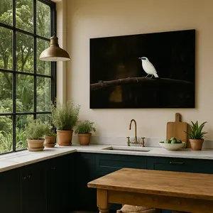 “Silent Spotlight” – White Bali Starling on Shadowed Perch