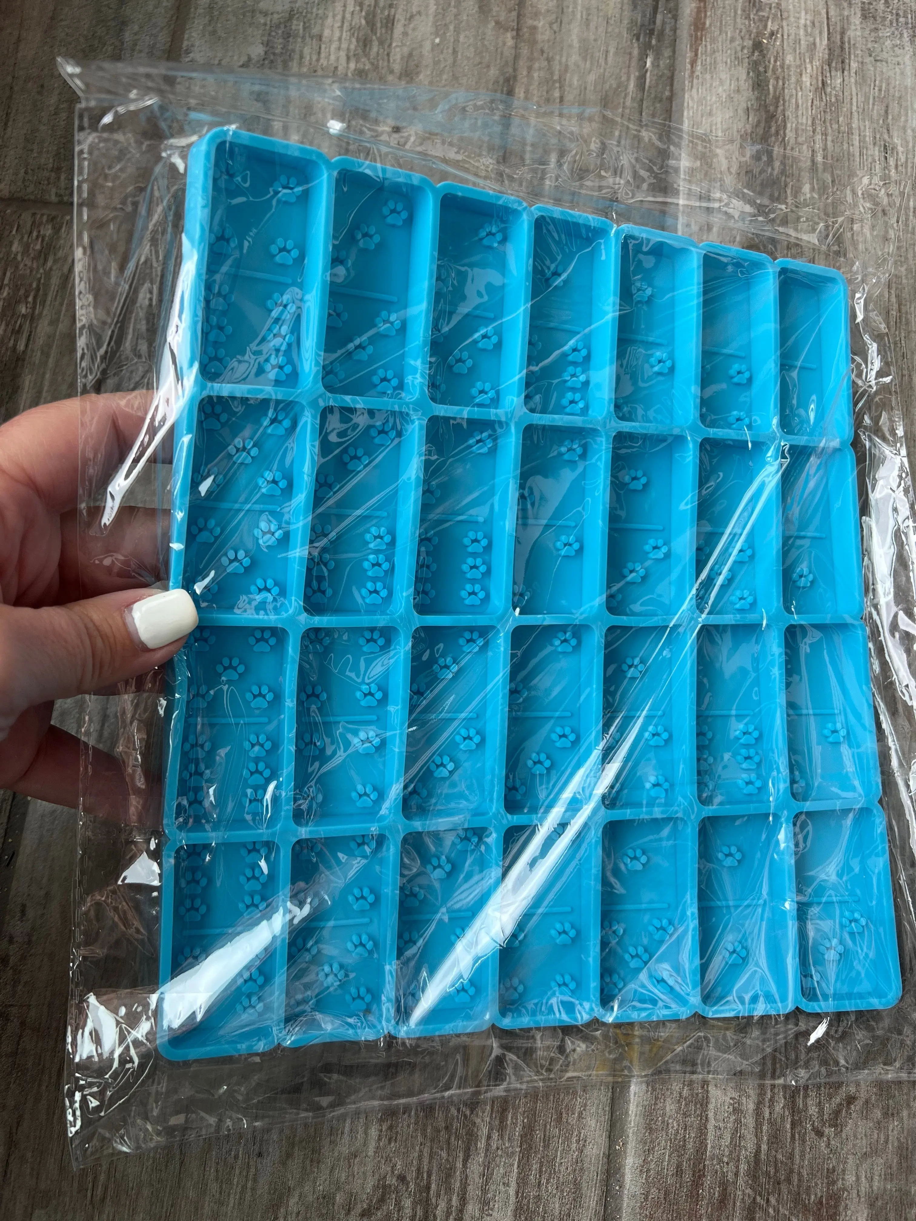 Paw Print Pip Domino Silicone Resin Mold