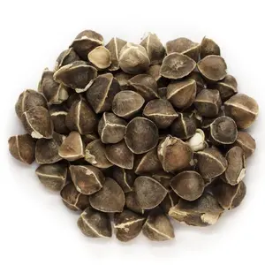 50PCS Moringa Oleifera Seeds for Planting – Easy to Grow, Drought-Tolerant, High-Yield Tree Seeds for Nutritious Leaves and Long-Term Wellness Gardening