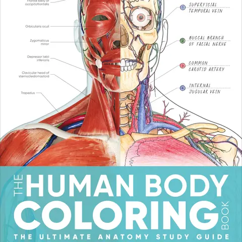 The Human Body Coloring Book: The Ultimate Anatomy Study Guide, Second Edition -- DK - Paperback