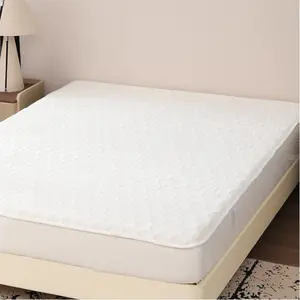 Luxury Thickened Winter Fleece Bed Sheet Protector, Comfortable Warm No Pillowcase Cover, Soft and Cozy Home Bedding Accessory