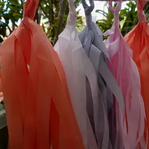 BLOWOUT Tissue Paper Tassel Garland Kit - Powder Mix