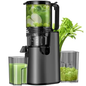 LQZ Cold Press Juicer – 5.4" Extra Wide Feed Chute, 99% Juice Yield, Easy to Clean Slow Masticating Juicer
