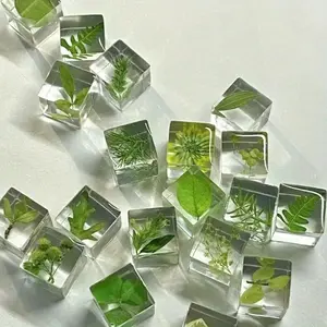 12 Resin Plant Specimen Blocks, 3D Dried Flower Decorations, Indoor and Outdoor Display, Perfect Birthday or Memorial Gift, Home Decoration
