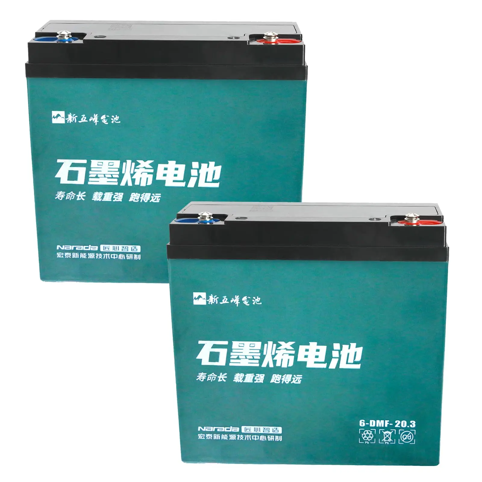 2 Pack Go Kart Batteries 12V 20Ah 6-DZM-20 Battery Sealed Lead Acid for Scooter Electric E Bike ATV UTV Drift Trike Golf Cart Quad Buggy Dune Moped Lawn Mower Four Wheeler Tricycle Offroad Motorcycle