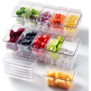 2 Pack Chilled Condiment Tray Server with 5 Containers and Removable Compartments, Large Ice Condiment Organizer, Clear Garnish Serving Platter for Kitchen, Fruit, Salad, , Bar Accessories