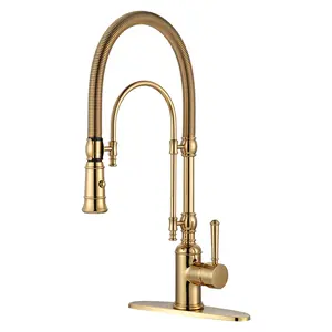 WOWOW 2-Functions Single Handle Gooseneck Pull Down Sprayer Kitchen Faucet with Spring Tube in Solid Brass Brushed Gold