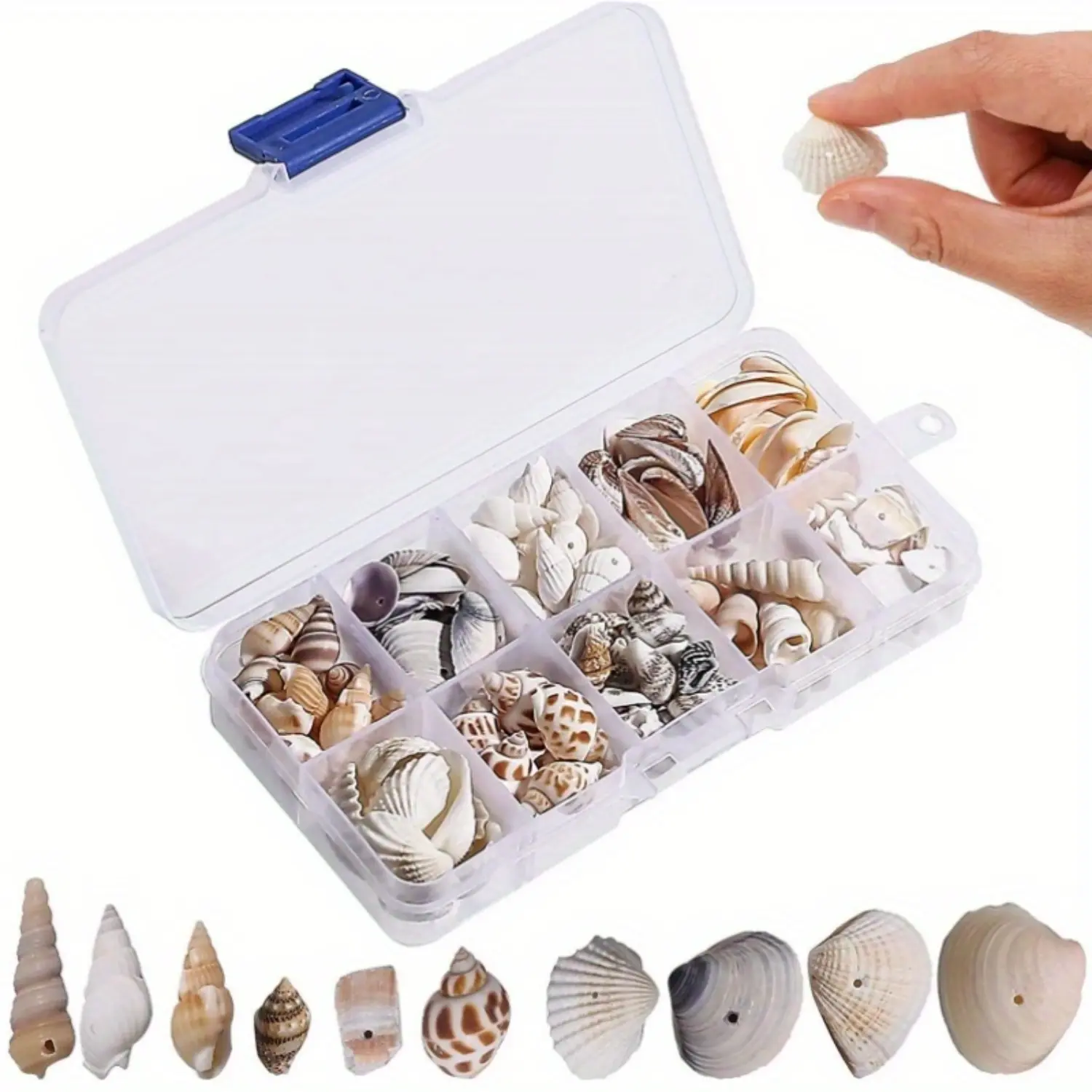 150 Pieces Shells Decoration,Mixed Shells,Conch,Natural Shells for Crafts with Hole for Beach Theme Parties,Wedding Decorations,DIY Shell Chain,Candle Making,Aquarium,Vase Filler Box Flower Decorative Plastic bridal  shower  gift