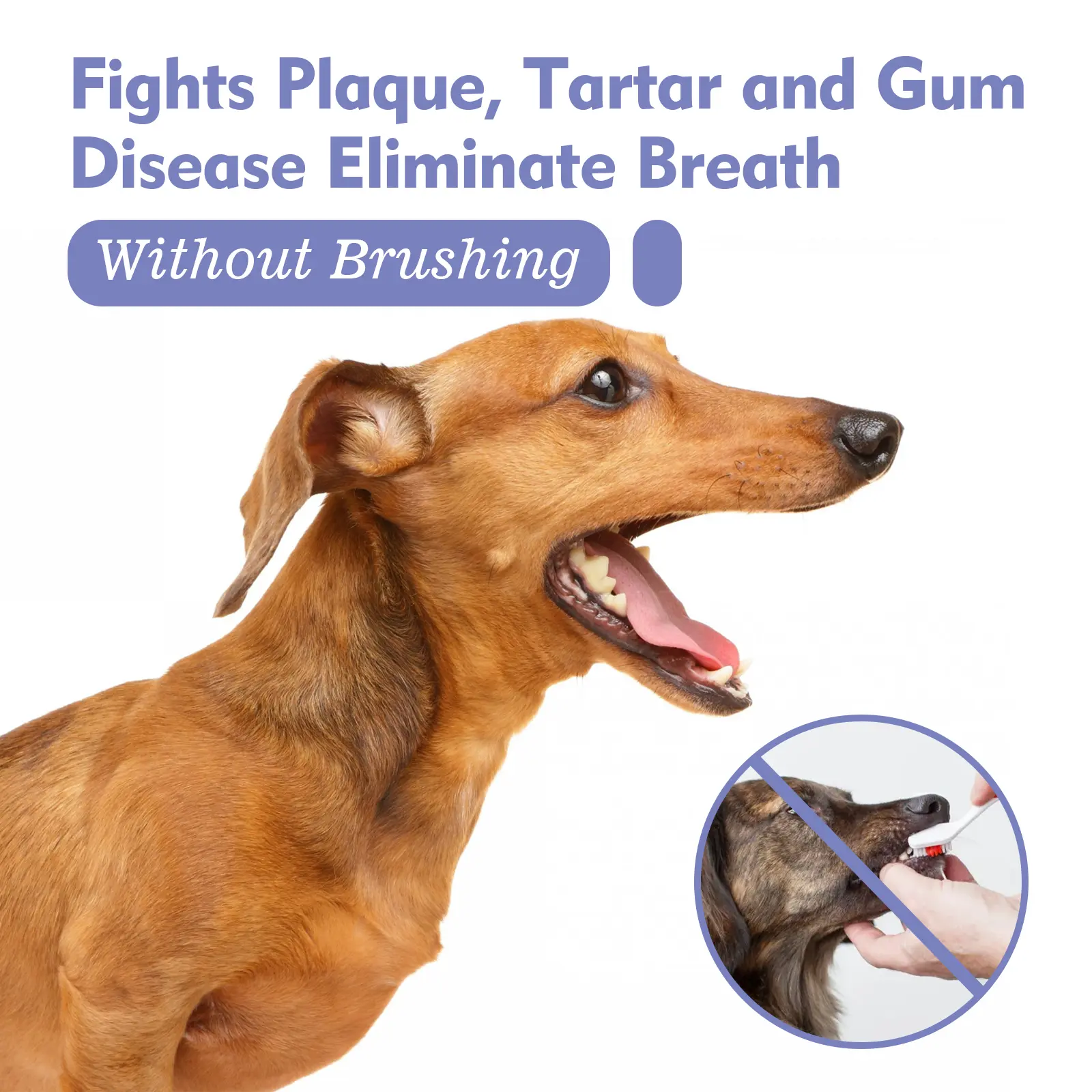 Pet Dogs & Cats Dental Care Spray, Vet-Recommended Breath Freshener & Teeth Cleaning Spray, Eliminate Bad Breath, Relieve Gum Redness & Infections, Reduce Plaque & Tartar, No Brushing
