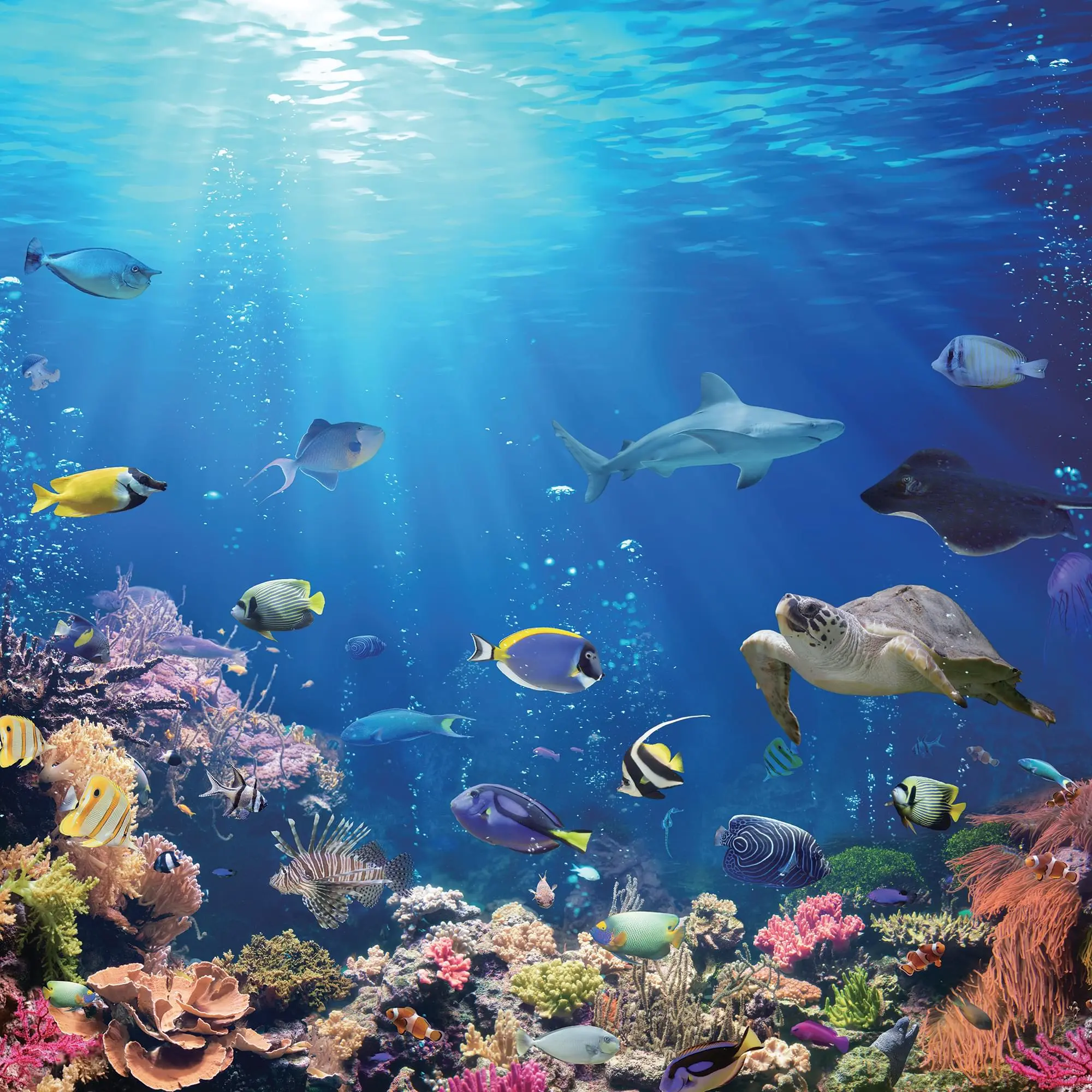 Under the Sea Coral Reef 500-Piece Jigsaw Puzzle Game, Toys & Hobbies Board Game