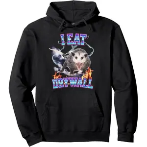 I EAT DRYWALL POSSUM Pullover Hoodie Unisex