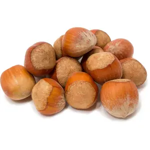 Hazelnuts (Filberts) In Shell Hazelnuts (Filberts) In Shell