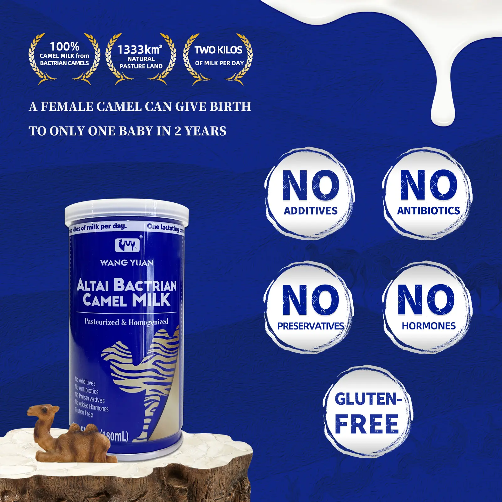 WANG YUAN ALTAI BACTRIAN Camel Milk—Canned(6.09FL.OZ) - TikTok Shop