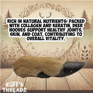 All Natural Deer Leg Dog Bones and Chews HALF W/HOOVE