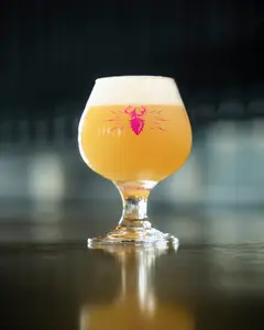 6oz Taster Glass - Box of 12