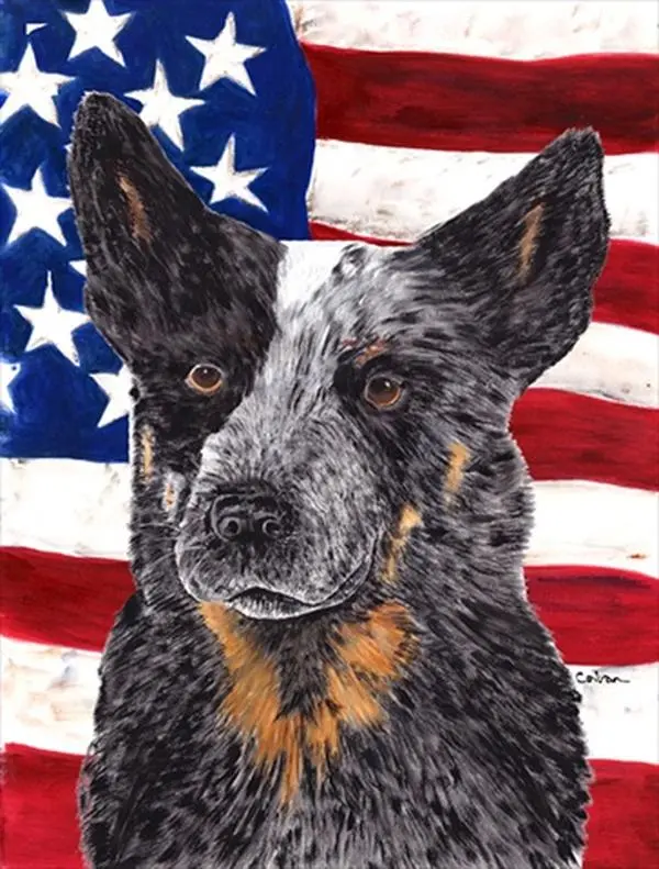 212 MAIN American Flag with Australian Cattle Dog House Flag, Heavyweight Polyester Canvas for Outdoor Use, Weatherproof & Fade-Resistant, 28 x 40 in
