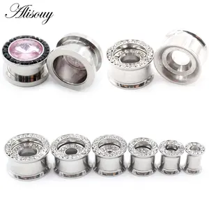Alisouy 2PCS Purple Black Clear Zircon Stainless Steel Ear Tunnels Plugs Expander Stretcher Gauge Earrings Piercing Body Jewelry