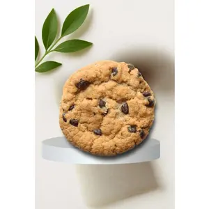 Chocolate Chip Lover Protein Cookie