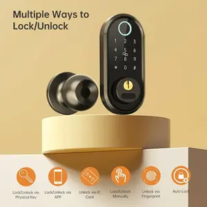 Smartlock Keyless Entry Door Lock with Handle & Keypad