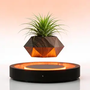 MAGECMOON magnetic levitation LED Planter rotates 360° smoothly with warm built-in LED light Energy-saving and space-friendly it fits desks in various rooms Practical and futuristic it is a classy gift for housewarming business and plant lovers