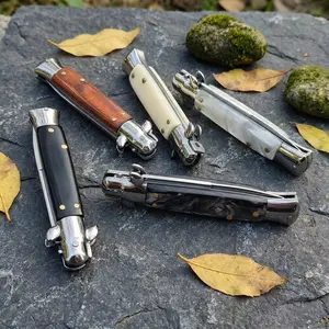 Italian Style Stainless Steel Fruit Knife Resin Handle EDC Pocket Knife With Nylon Sheath Outdoor Camping Hiking Daily Carry Cutter