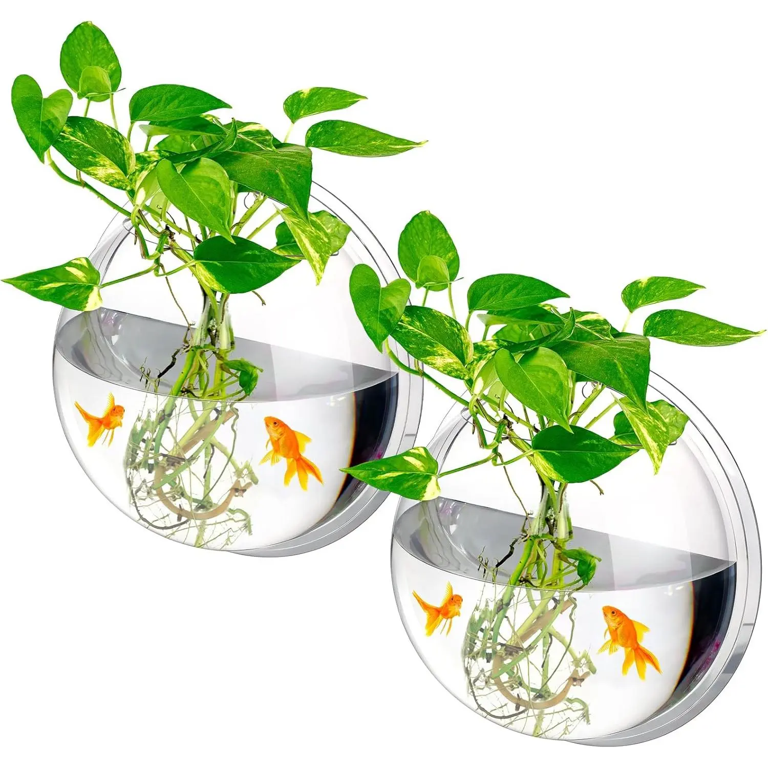 2 Pcs Hanging Wall 1 Gallon Fish Bowls Acrylic Clear Wall Fish Tank for Beta Aquariums Mounted Plant Bubbl Ecosphere Decor