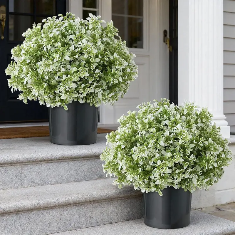 plants for wall pots 5.5