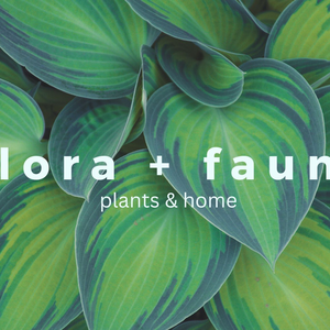 Flora Fauna Plants