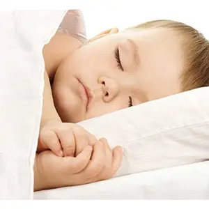Standard Crib Organic Alternative Down Comforter