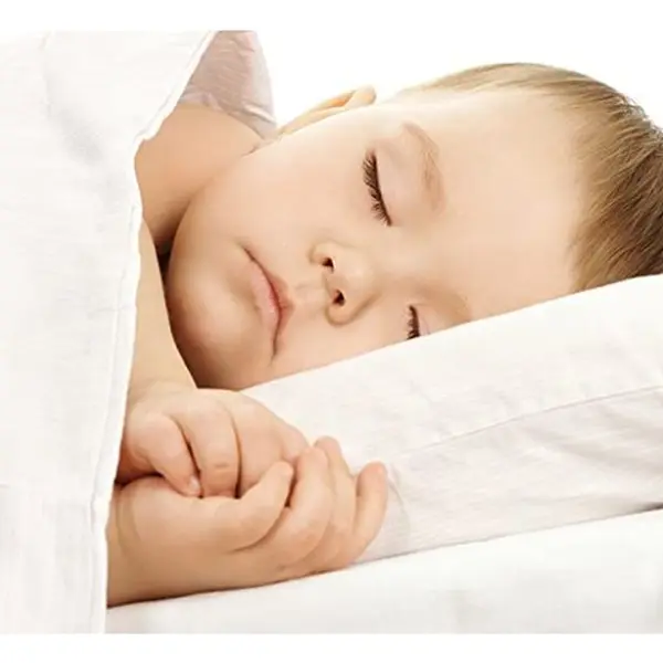 Standard Crib Organic Alternative Down Comforter