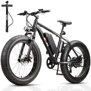 Off-Road Fat Tire Electric Bike