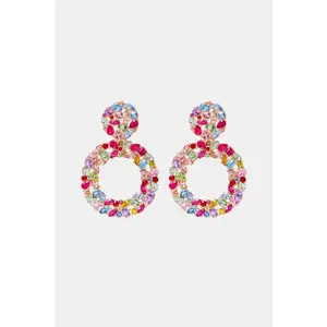 Round Shape Acrylic Dangle Earrings