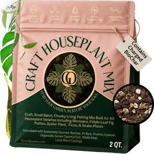 Craft Houseplant Potting Mix