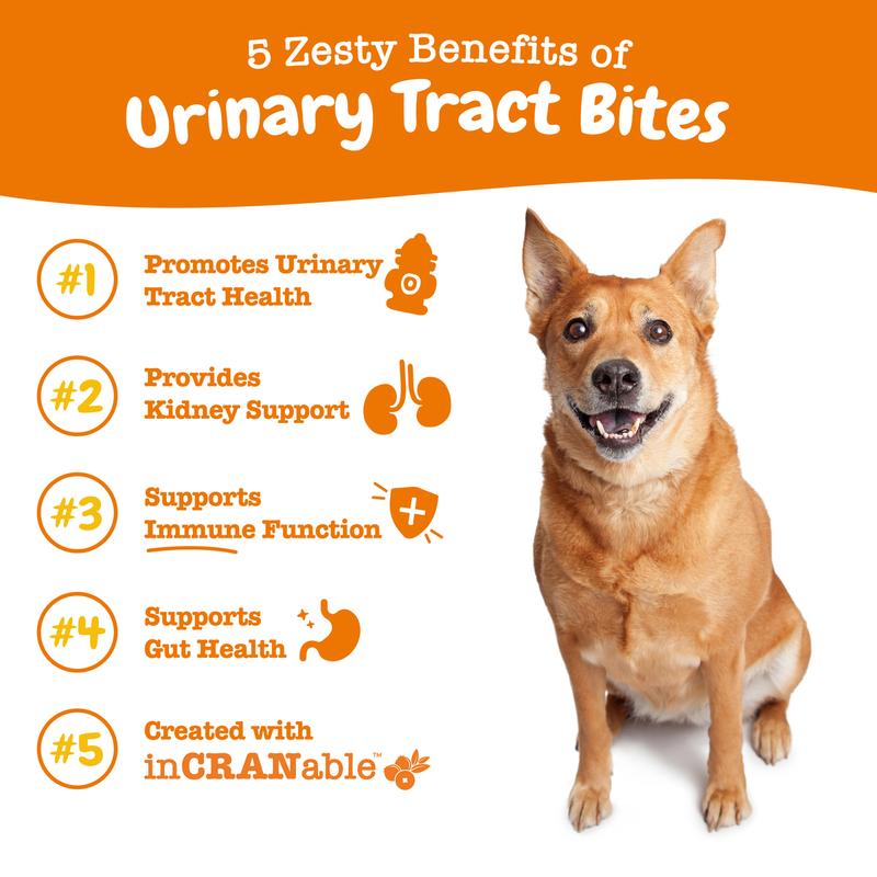 Zesty Paws Urinary Tract Bites for Dogs Soft Chew Pet Treats with Cranberry D-Mannose & Astragalus for Kidney Bladder Health Immune Function Premium InCRANable Concentrate