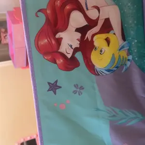 Princess 6 Bin Design and Store Toy Organizer